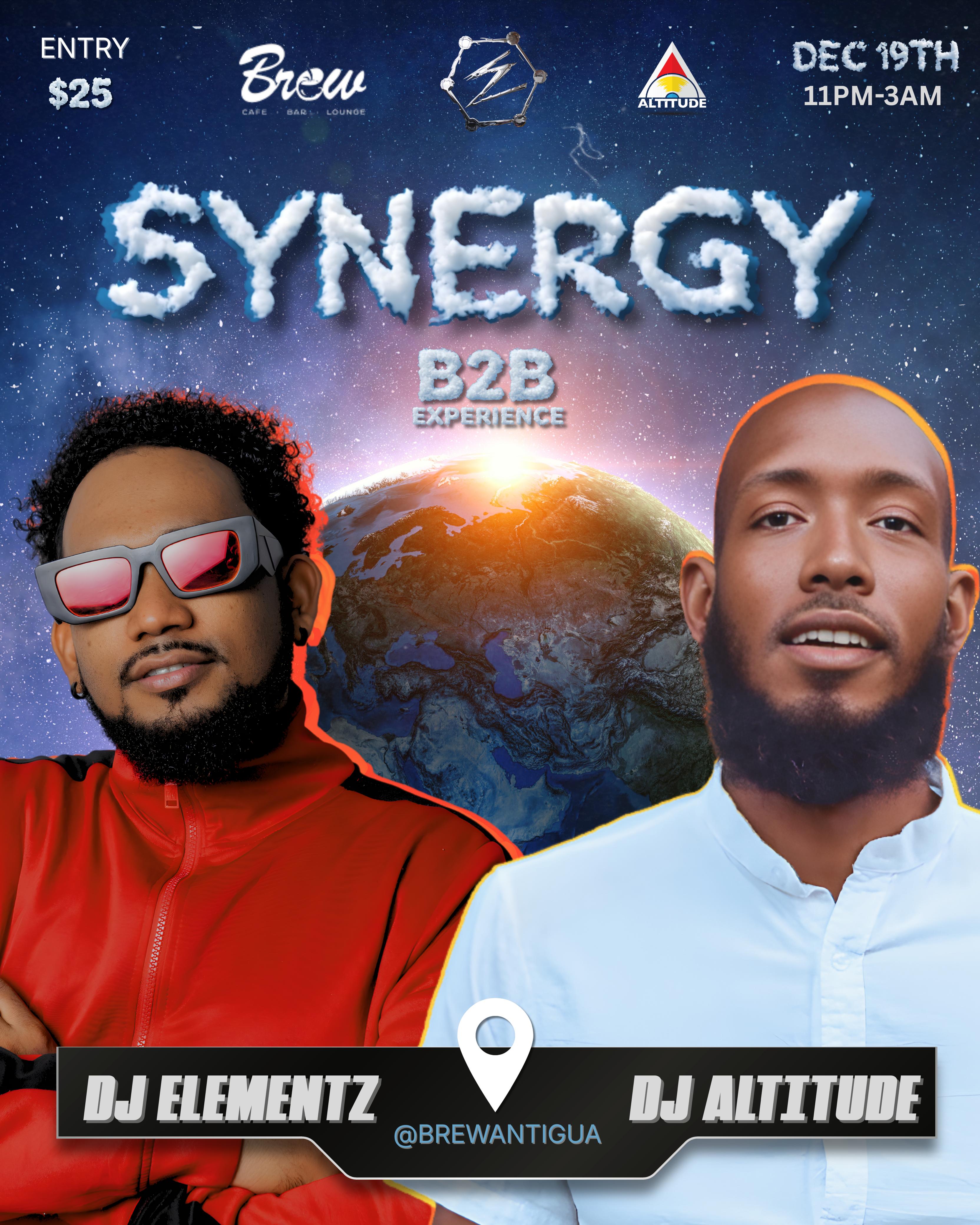 Synergy B2B Experience